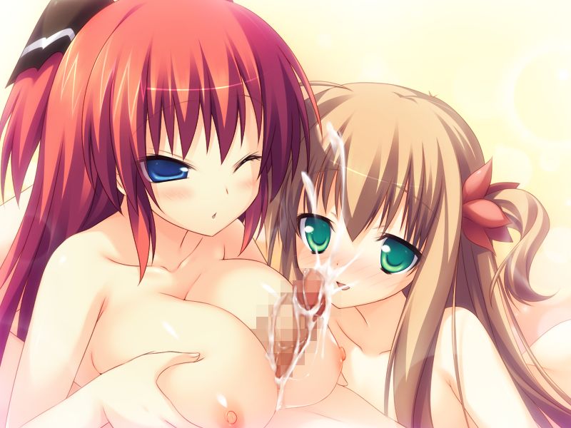 Zettai Junshu ☆ Kyousei Kozukuri Kyokashou!!: Sofmap original additional ending data disc “Harem Route de Shuchinikurin” page 5 full