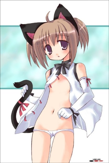 Assorted Ecchi Collection #036 cover