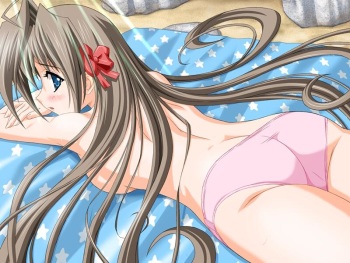 Ecchi pack 005 cover