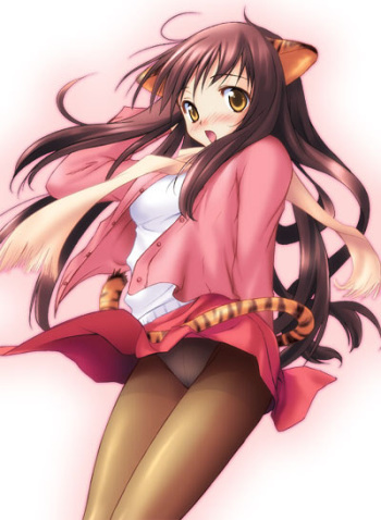 Cat ears cover