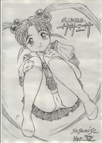 Sasamisa Ver.32 cover
