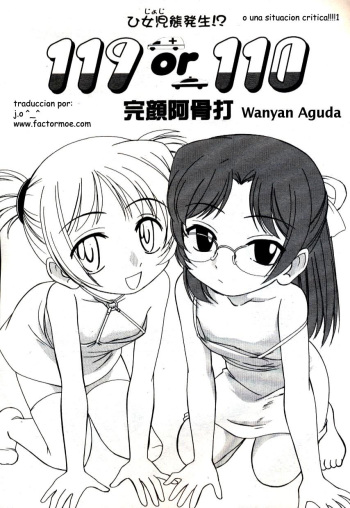 119 or 110 cover