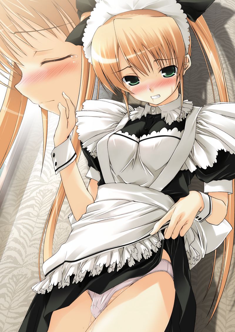 Maid-san Katsudou Shashinshuu page 2 full