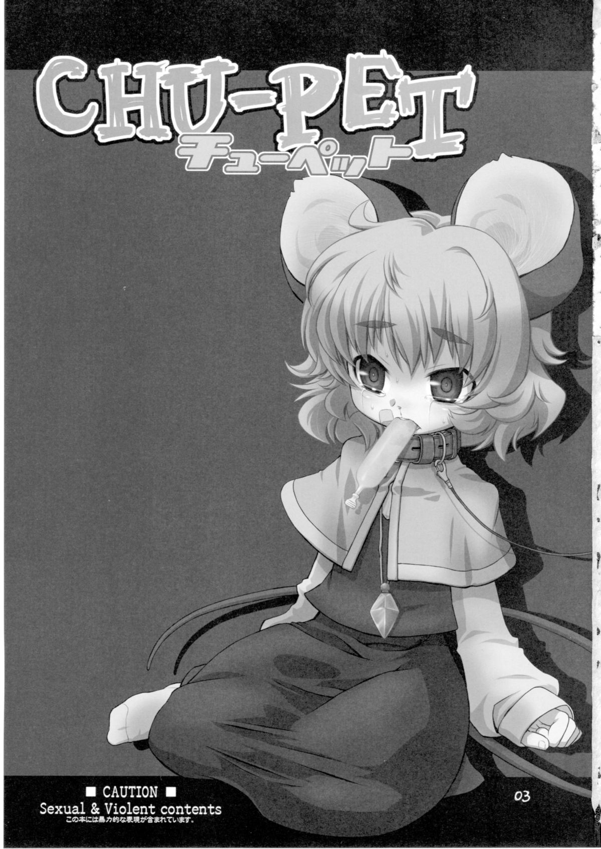 CHU-PET page 2 full