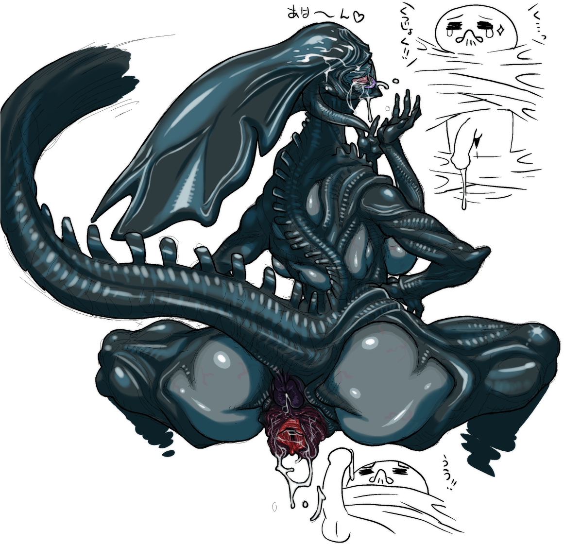 random image pack page 8 full