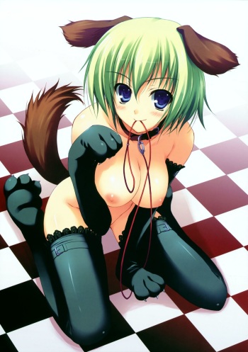 Pet Girls cover