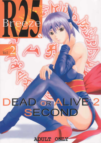 R25 Vol.2 DoA2 SECOND cover