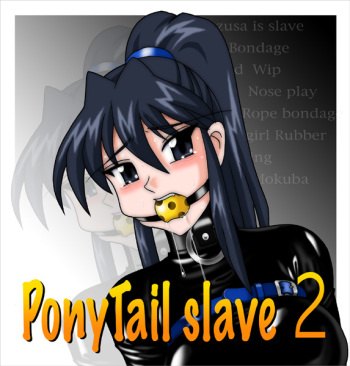 PonyTail slave2 cover