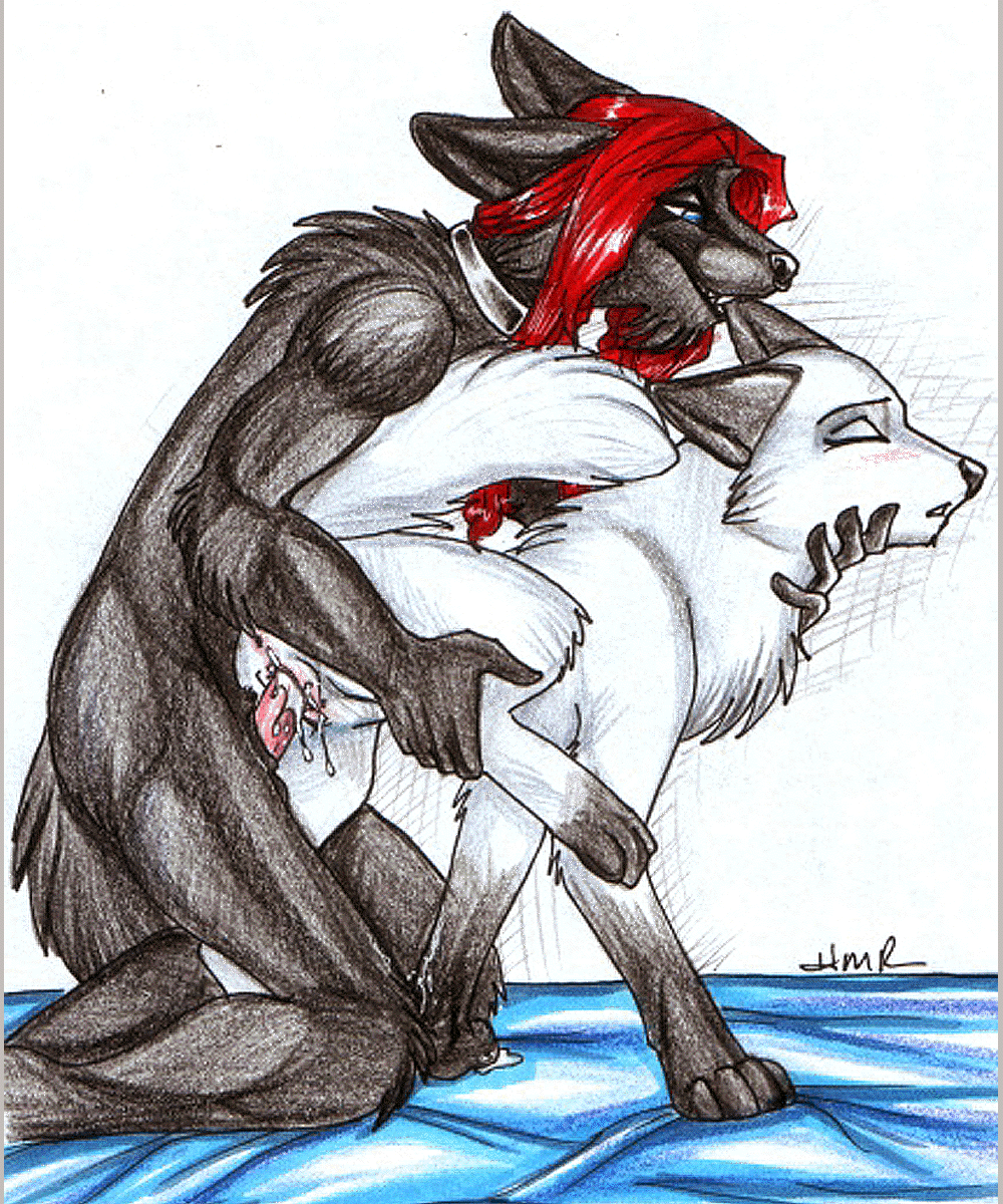 Massive Random Furry / Yiff Gallery page 4 full