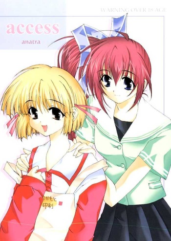 access cover
