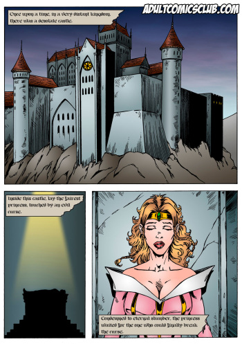 Sleeping Beauty cover