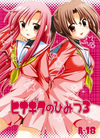 Hinagiku no Himitsu 3 cover