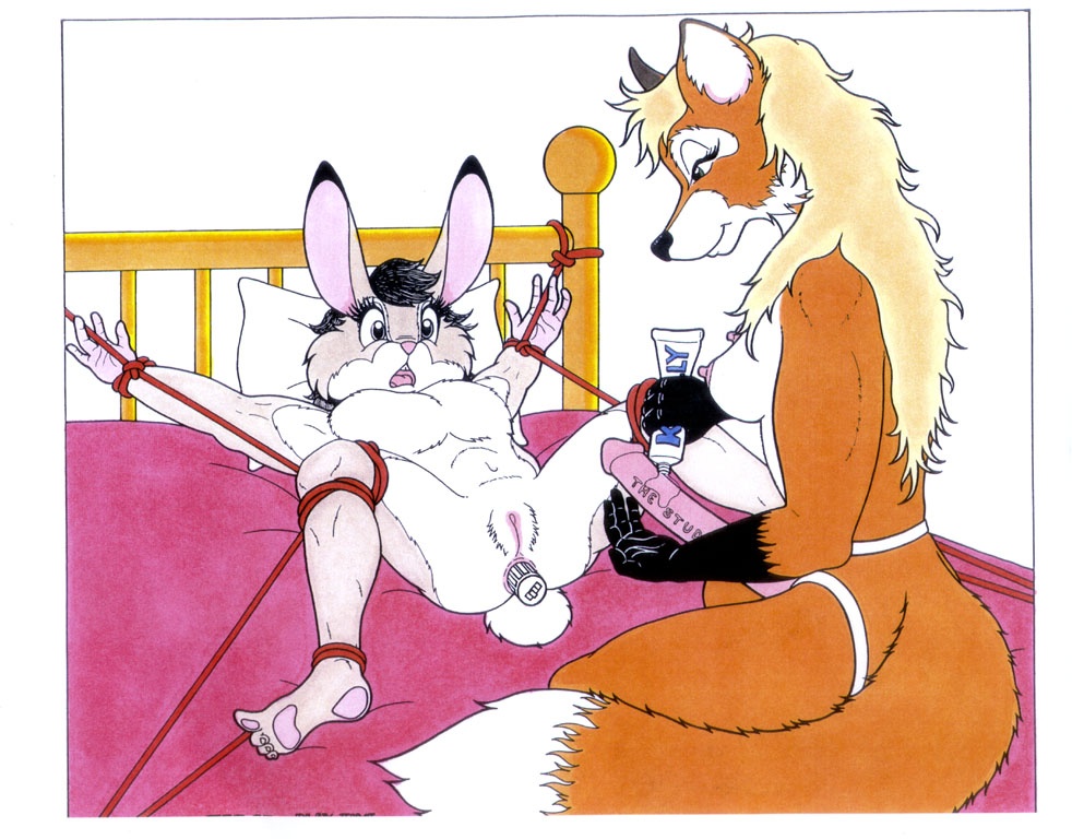 furry foxes page 6 full