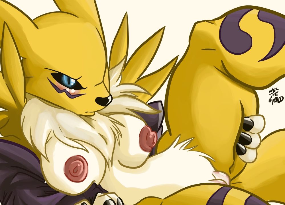 Digimon Collection page 3 full