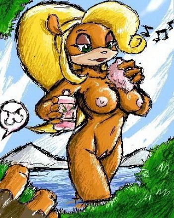 coco bandecoot cover
