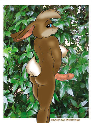 Furry Futa Pics 1 page 9 full