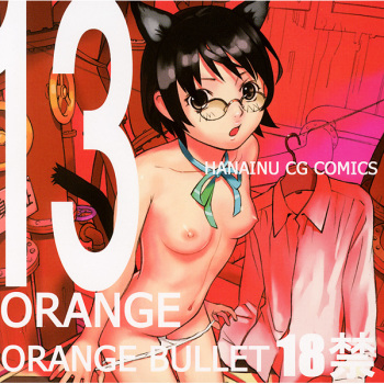 Orange 13 cover