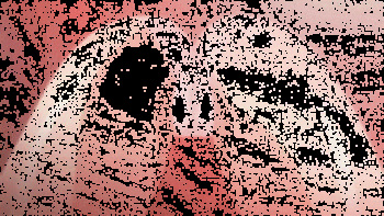 Mixed gifs cover