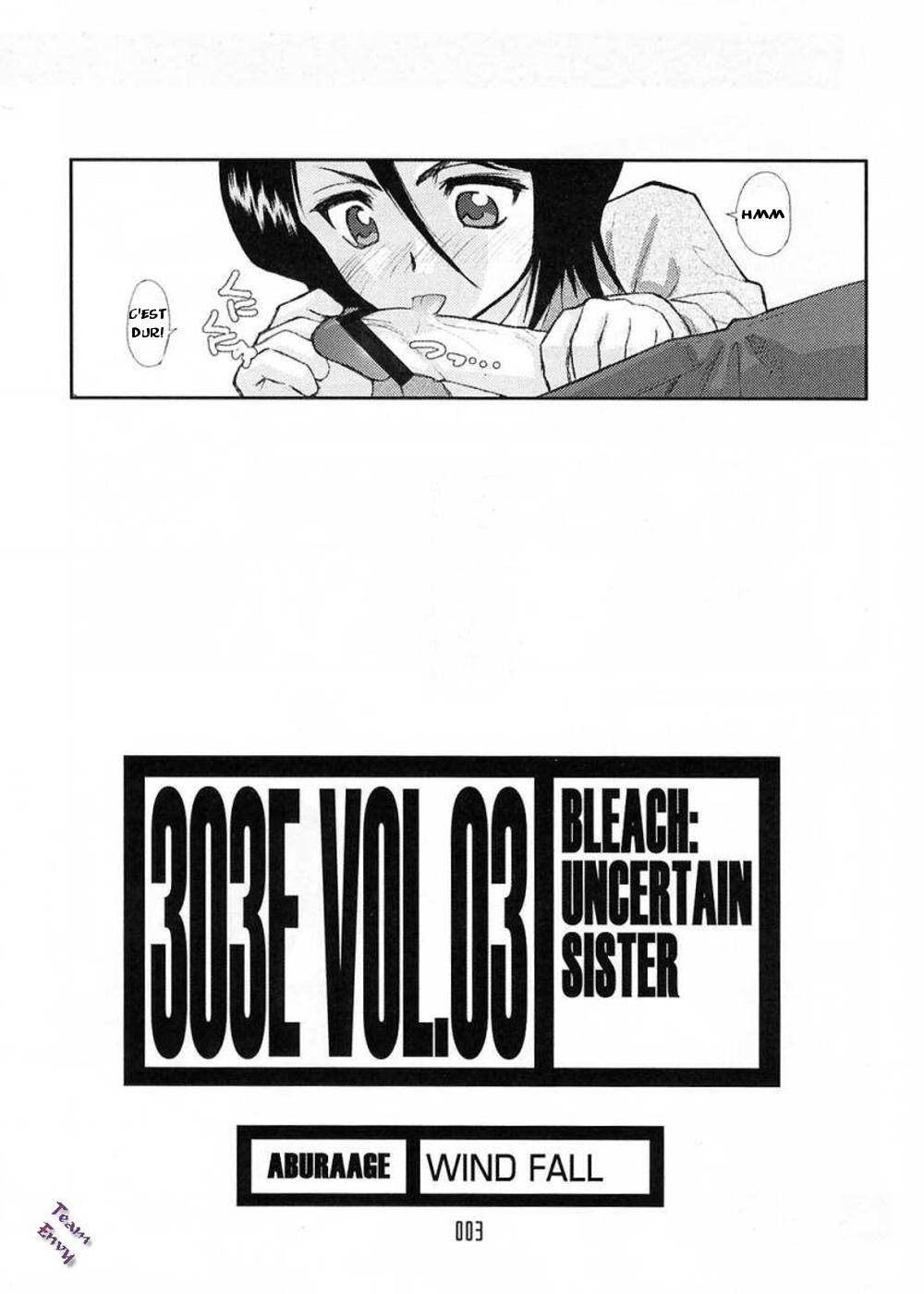 303e Vol.03: Bleach Edition - Bleach: Uncertain Sister page 3 full