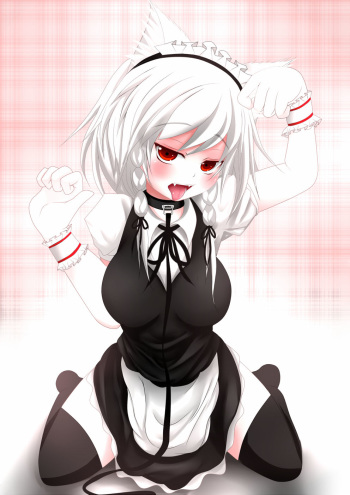 touhou pics cover