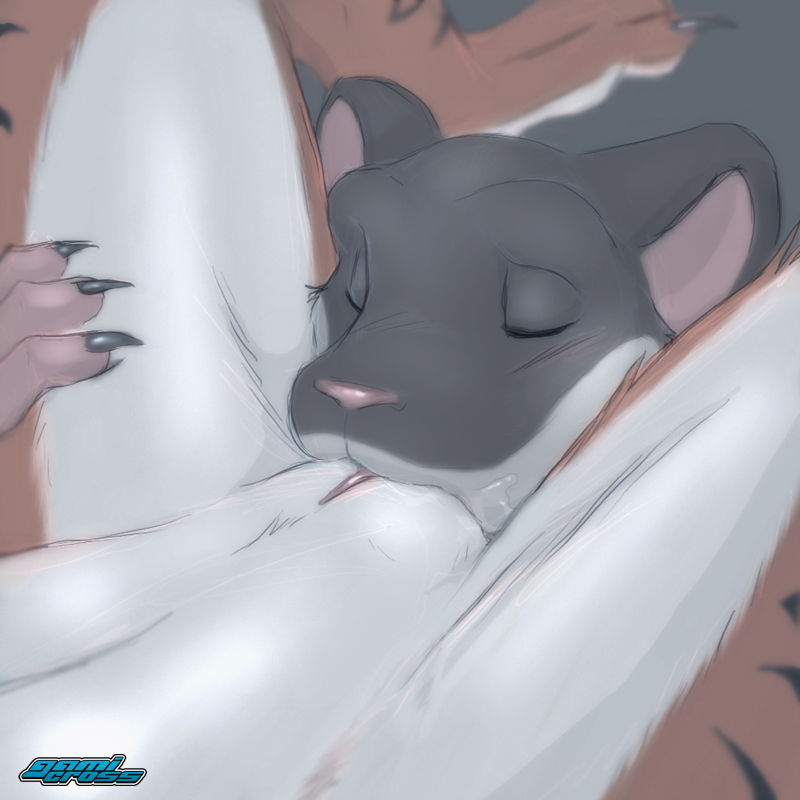 Random Furry Gallery part 20 page 7 full