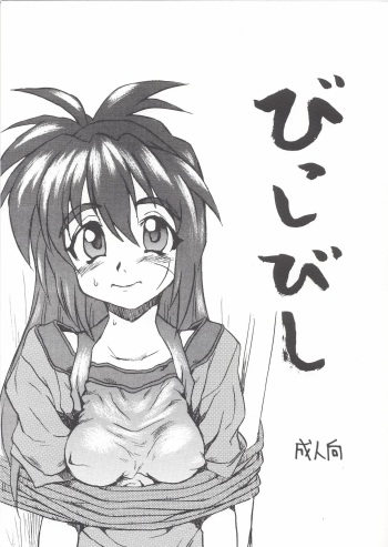 Bisshibishi cover