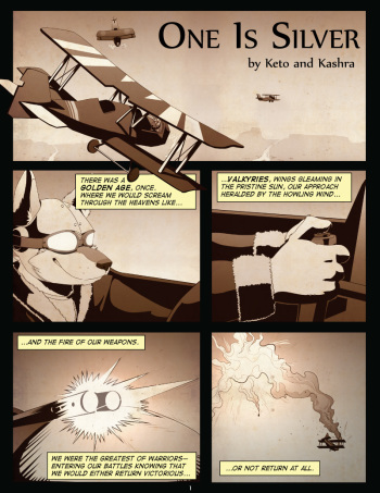 One is Silver cover