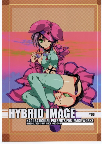 HYBRID IMAGE cover