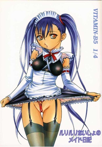 Vitamin-B5 1/4 Ruri Ruri Naisho no Maid Nikki cover