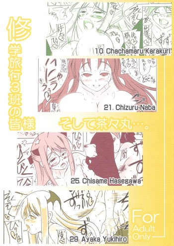 Shuugakuryokou 3han no Minasama Soshite Chachamaru&hellip;. cover