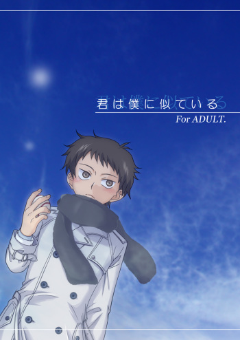 Kimi wa Boku ni Niteiru cover