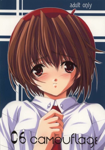 06 camouflage cover