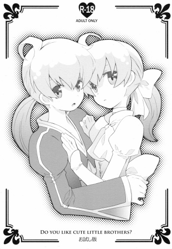 Kawaii Otouto-san wa Suki desu ka? Otameshiban | Do you Like Cute Little Brothers?   =LWB= cover