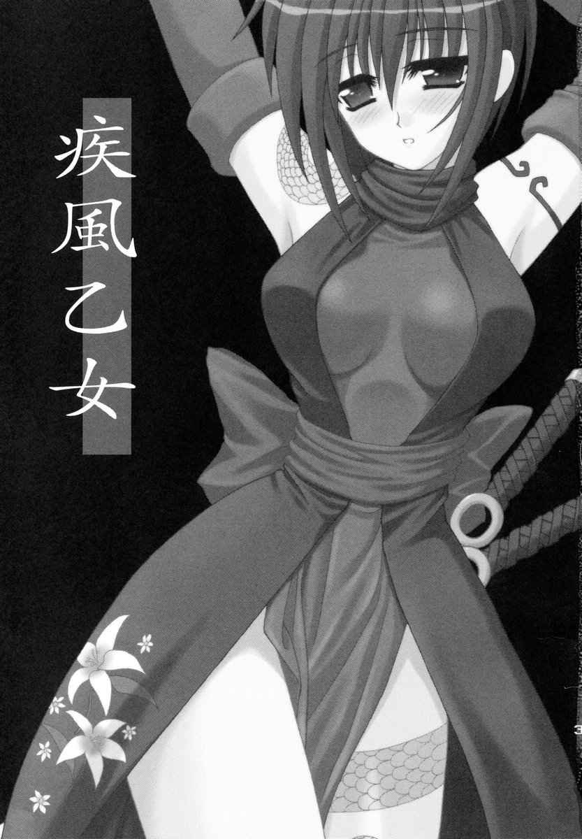 Shippuu Otome page 2 full
