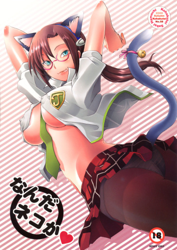 Nanda Neko ka cover