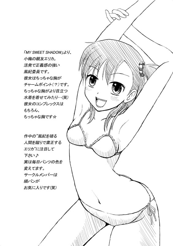 Booklet Summer of 2007 Vol.1 page 3 full