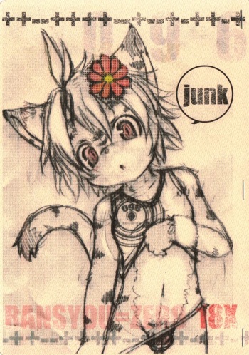 JUNK cover
