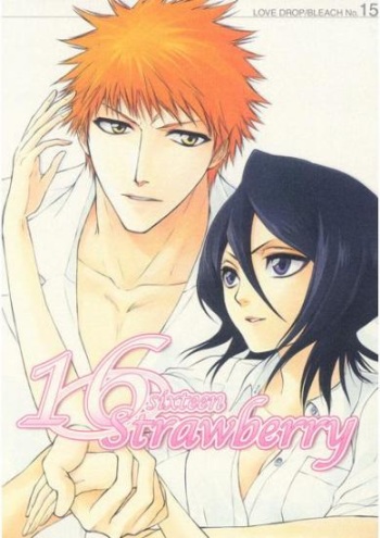 16Strawberry cover