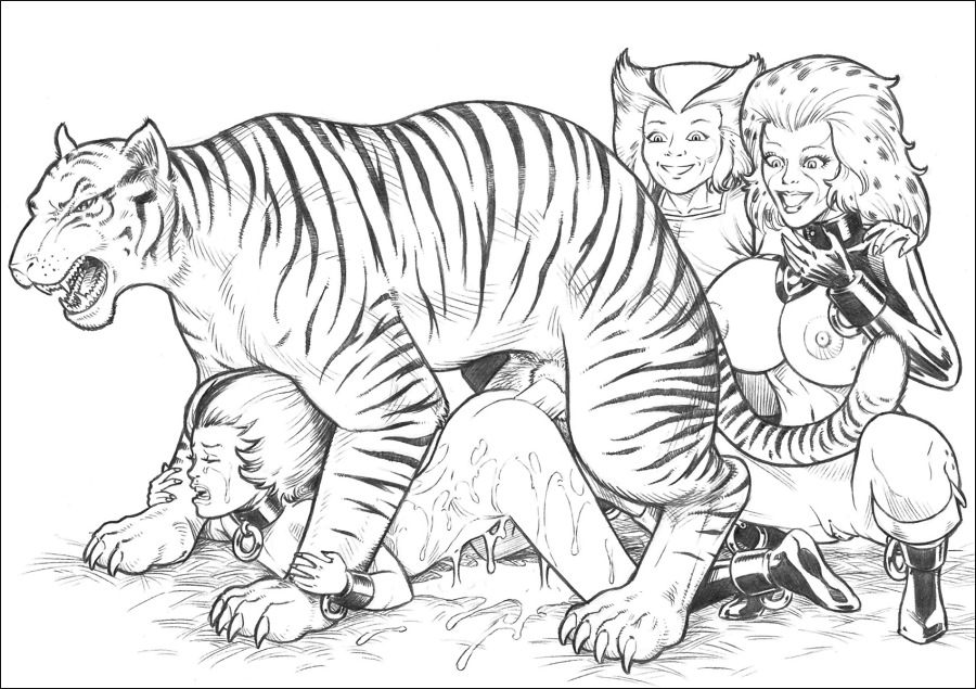 THUNDERCATS MEGACOLECTION page 7 full