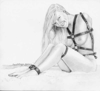 bondage art of pencil dragon cover
