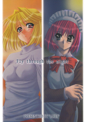 Fly through the night cover