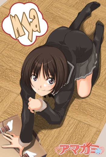 Amagami cover