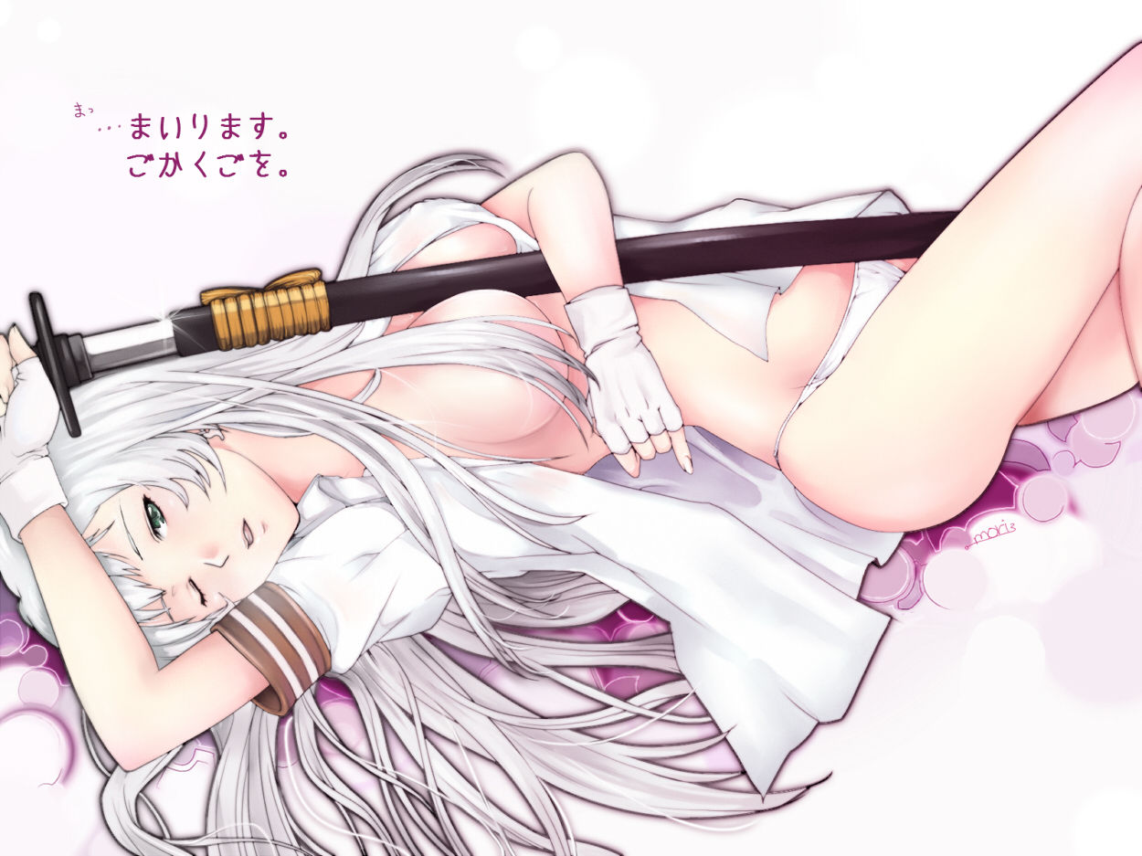 Gallery Hentai By Roger Silver Fox - Chouun Shiryuu - Ikkitousen page 3 full