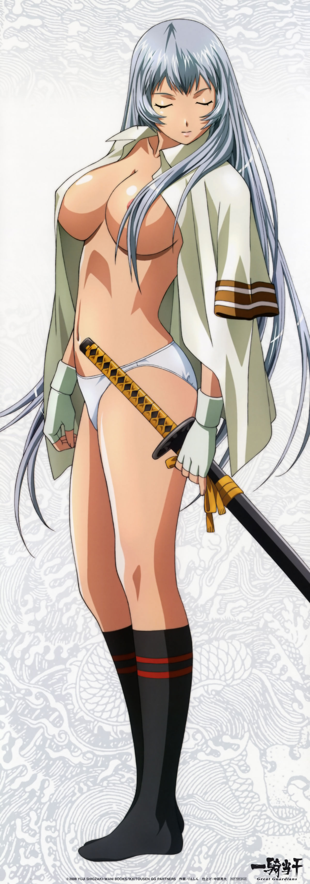 Gallery Hentai By Roger Silver Fox - Chouun Shiryuu - Ikkitousen page 9 full
