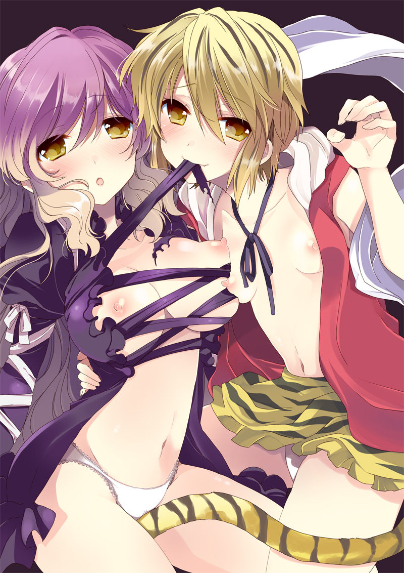 Touhou Picture vol.2 page 6 full