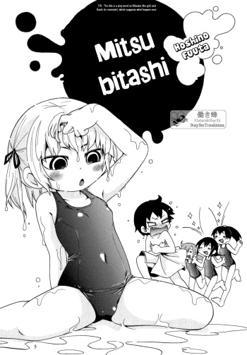 Mitsubitashi cover