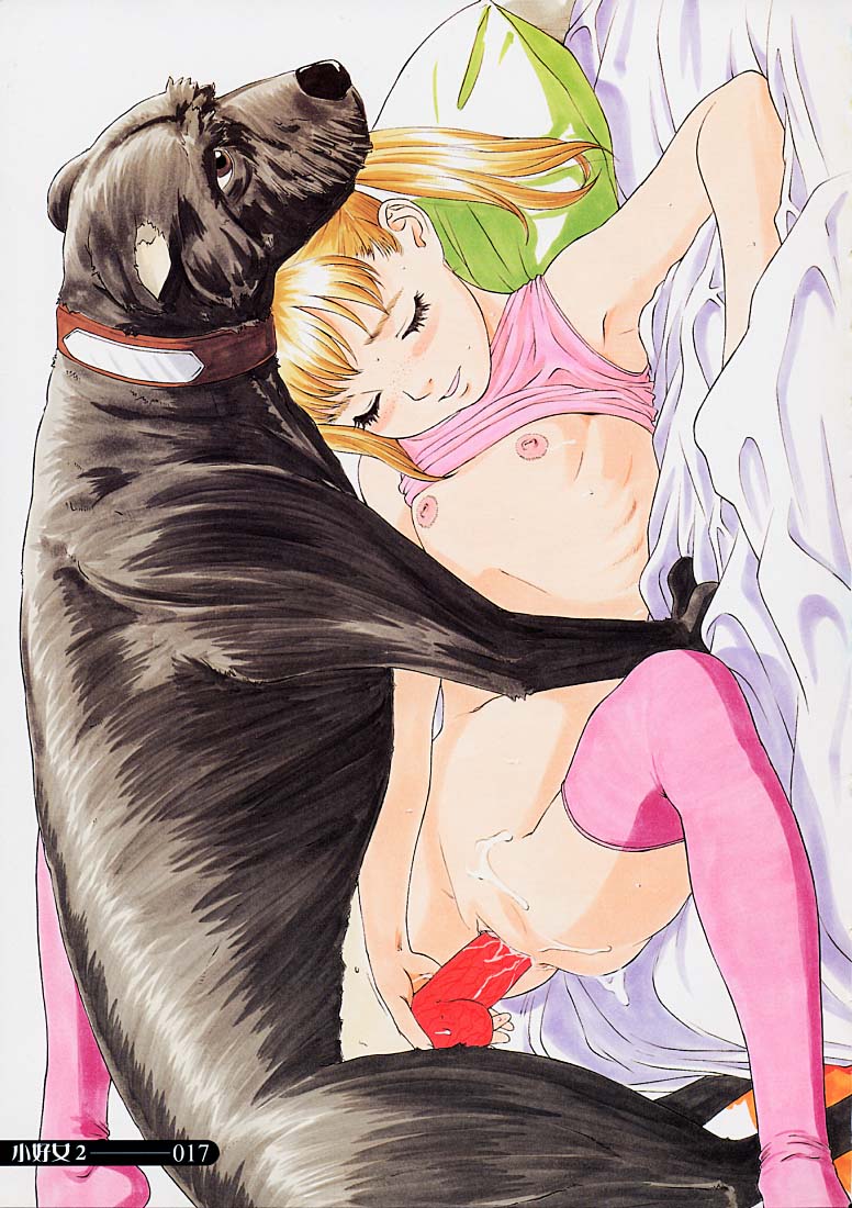 Animal Gallery page 2 full