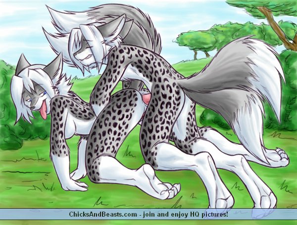 Hot furry page 6 full