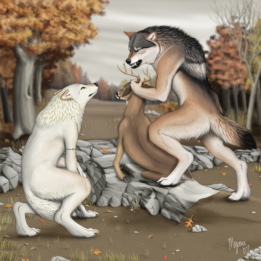 Wolves page 5 full
