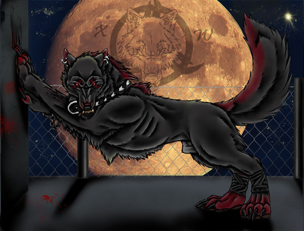 Wolves page 8 full